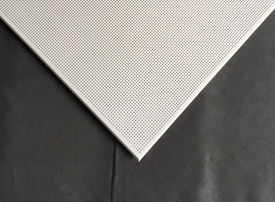 Agrafe décorée de blanc du diamètre 2.3mm dans l'installation facile d'absorption saine de plafond