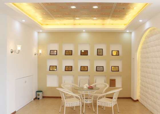 Tuiles artistiques de plafond en métal résidentiel, panneau décoratif de plafond pour la maison