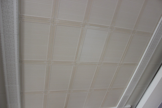 Tuiles artistiques de plafond de preuve saine, panneaux de plafond en aluminium uniques