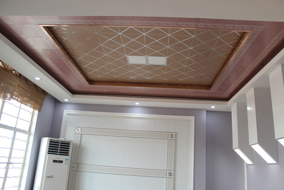 Le plafond artistique de grille couvre de tuiles la décoration en métal pour la pièce de lavage